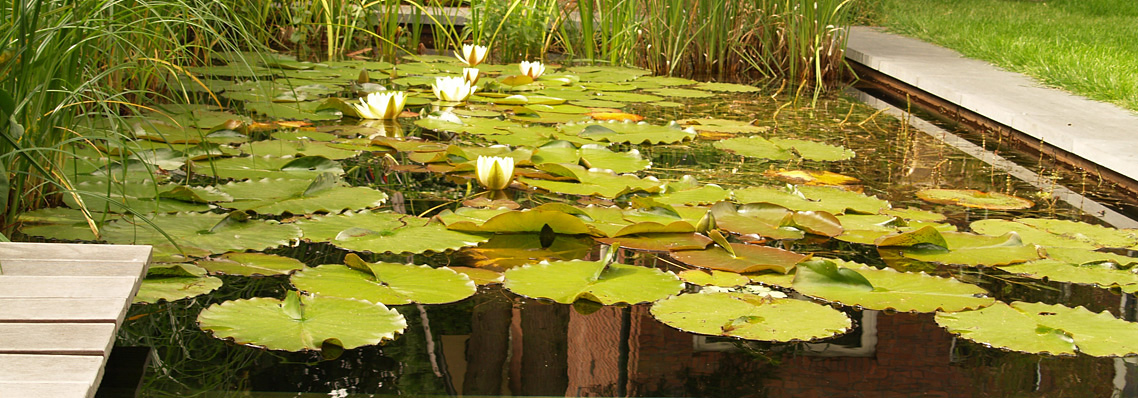 lilypond apartments lilypond apartments